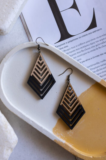 Long arrow earrings
