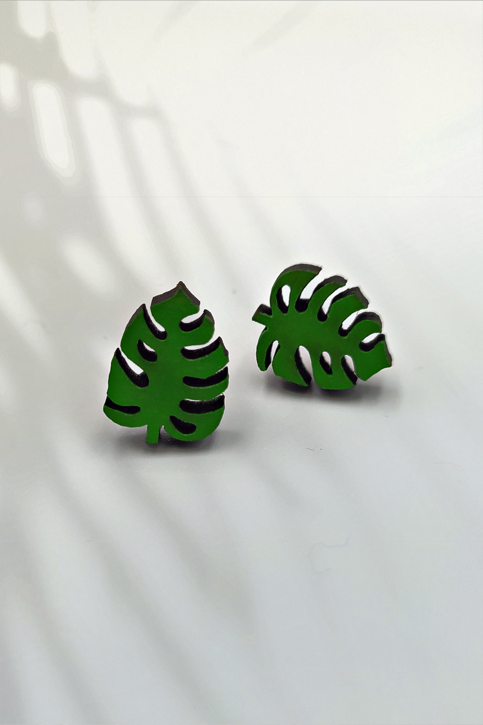 monstera-1