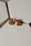 squirrel-new